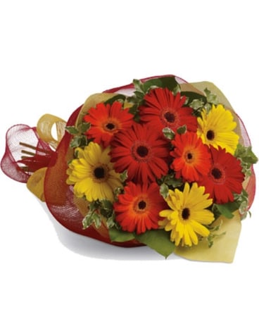 Mixed Gerberas