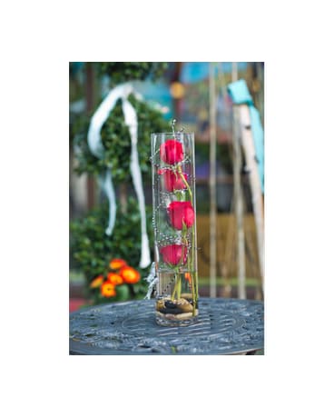 Rose Cylinder with a Twist