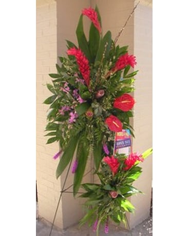 tropical words of love spray in lake charles la a daisy a day