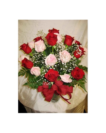 2 Dozen PREMIUM ROSES