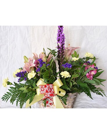 Spring Sensations