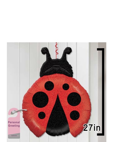 Lady Bug Door Balloon Balloon Bouquet