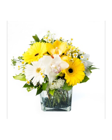Uplifted Flower Arrangement