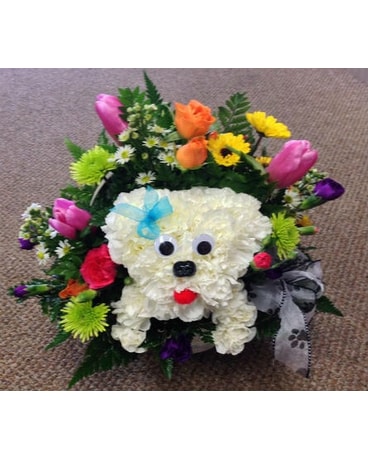 How Much Is That Maltese In The Basket