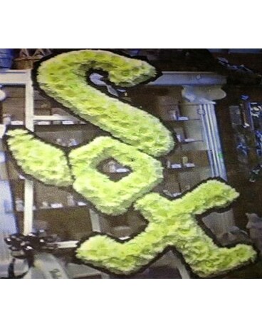 Solid White Sox Tribute
