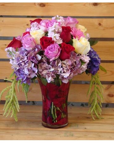 Roses covered roses