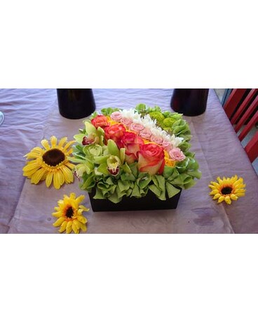 Paves in a box