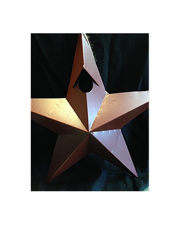 Red Metal Star Birdhouse