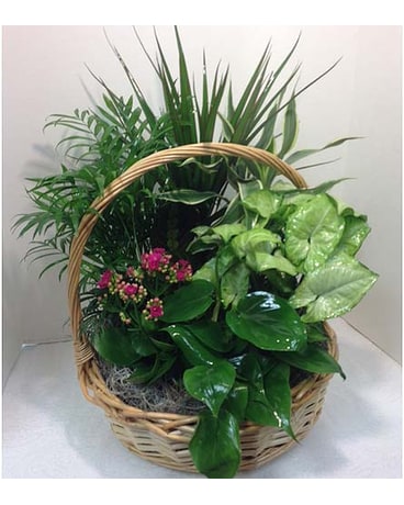Lg Eurogarden Flower Arrangement