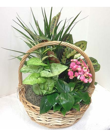 Medium Eurogarden Flower Arrangement