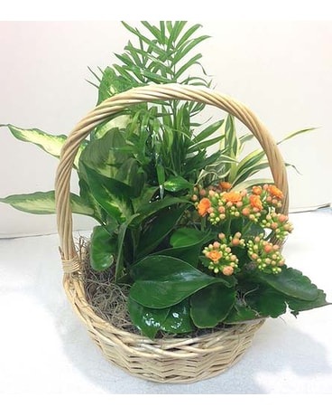 Small EuroGarden