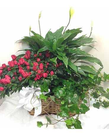 Large Planter Basket Flower Arrangement