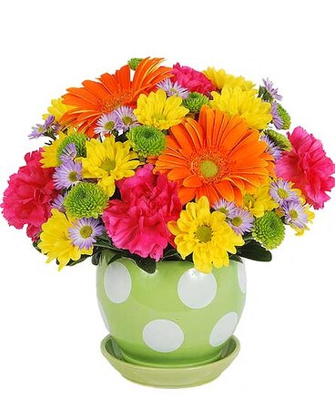 Dots For You Flower Arrangement