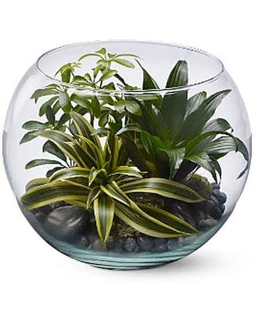 Sphere of Tranquility Flower Arrangement