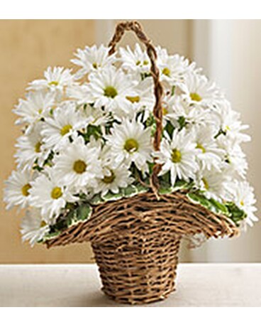 BASKET FULL OF DAISIES