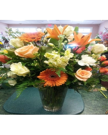 Orange cream-cicle
