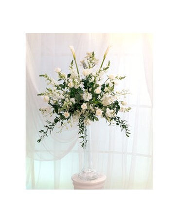 White Colla on Clear Glass