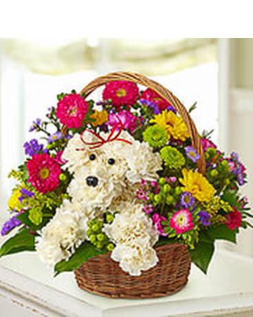 Dog In A Basket