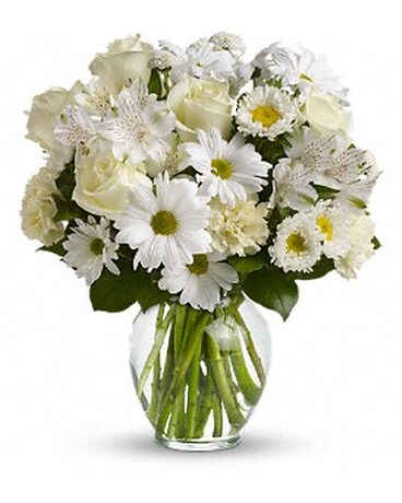 Uplifting and Bright