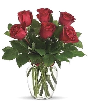 6 Red Roses