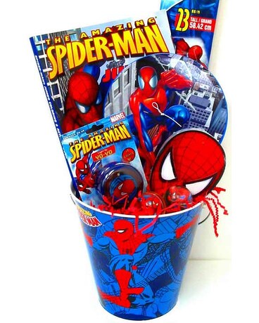 spiderman gifts