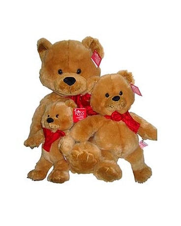 bear bear family plush