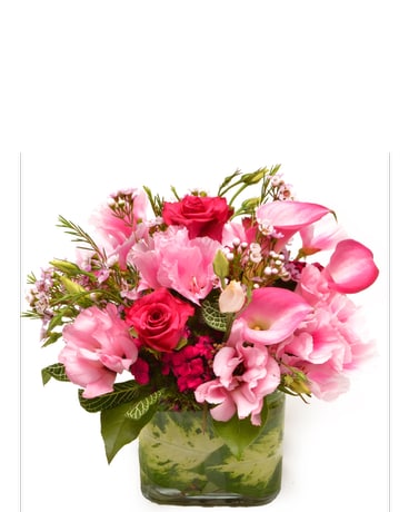 In Love with Pink