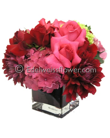 Dozen Red Roses  Farm Town Floral & Boutique