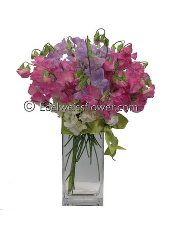 To My Sweetpea Flower Bouquet