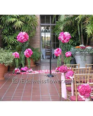 Pink Roses, Dahlia & Hydragea Ceremony