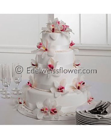 White & Pink Cymbidium Cake