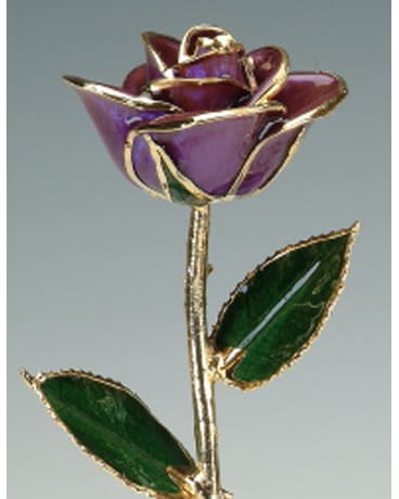 24K Purple Rose (24K-Purple)