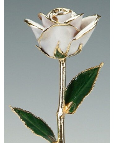 24K White Rose (24K-White)