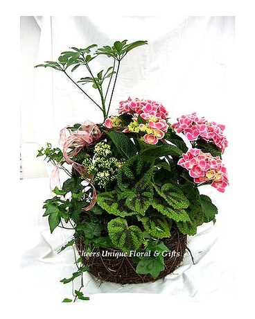 Basket garden series 123
