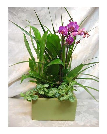 Basket garden series 125
