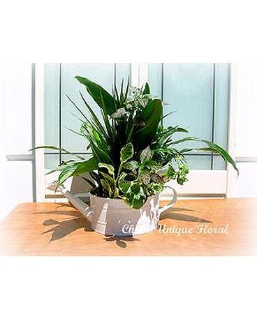 Basket Garden (BP-74)