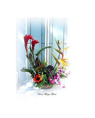 Tropical Paradise
