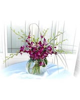 as shown 10 orchids size,  inches height and  inches wide.