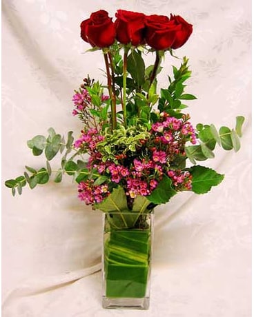 Red Roses in Square Vase