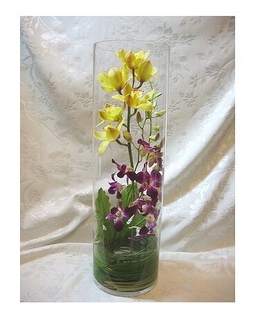 Mixed orchids arrangement
