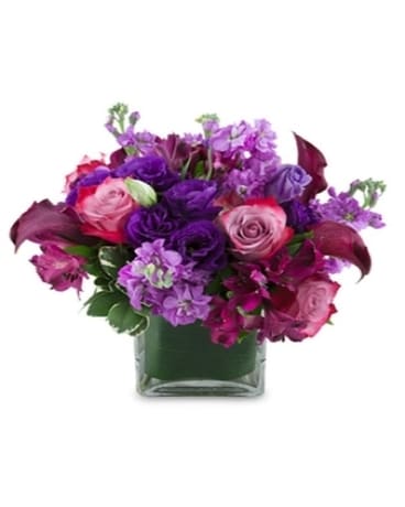 Purple Passion