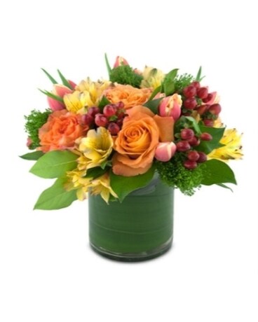 Orange Roses
