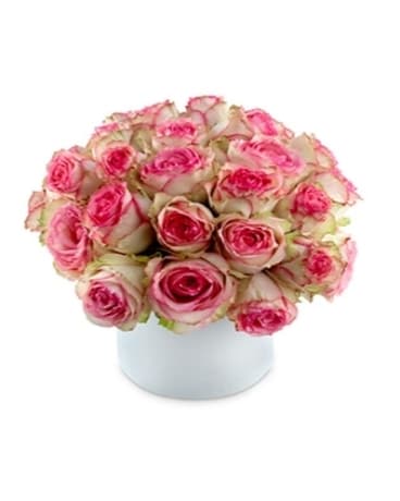 Esperance Roses
