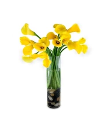 Mini Calla Lilies