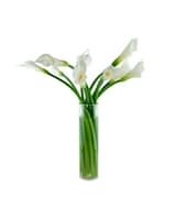 As Shown size,  inches height and  inches wide.