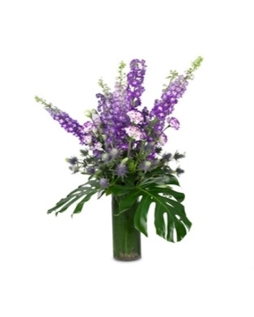 Hybrid Purple Delphinium