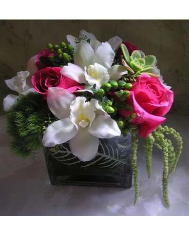Roses & Cymbids
