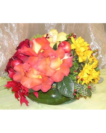 Autumn Celebration