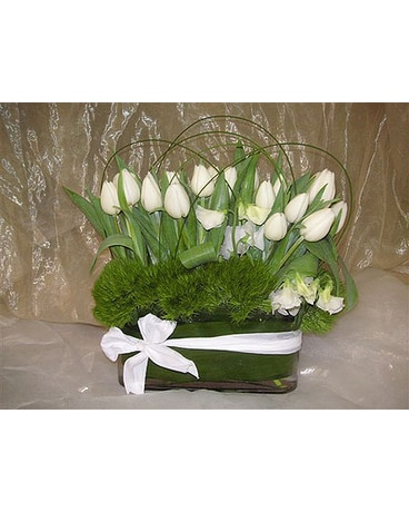 Serene Spa Tulips