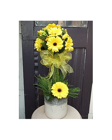 Sunny Natural Topiary